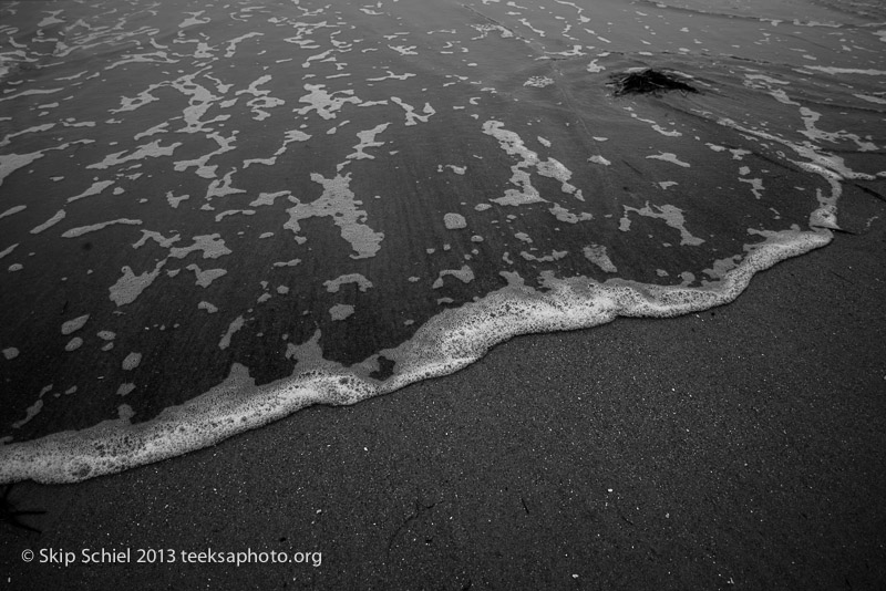 Cape Ann-Annisquam-2022