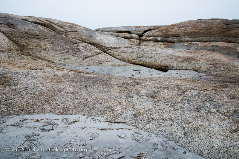 Cape Ann-Annisquam-2039