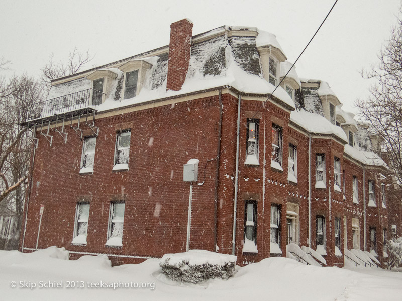 Cambridge-Snow-0895