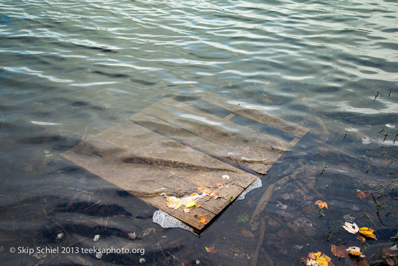 Charles River-Echo Lake-Milford-9738