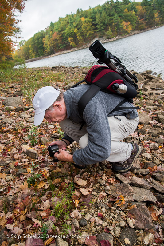 Charles River-Echo Lake-Milford-9744