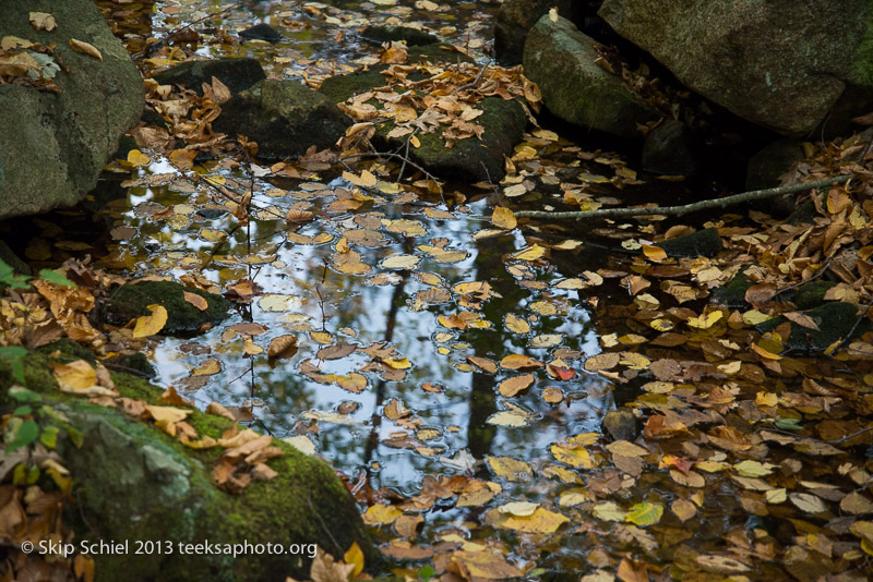 Charles River-Echo Lake-Milford-9794