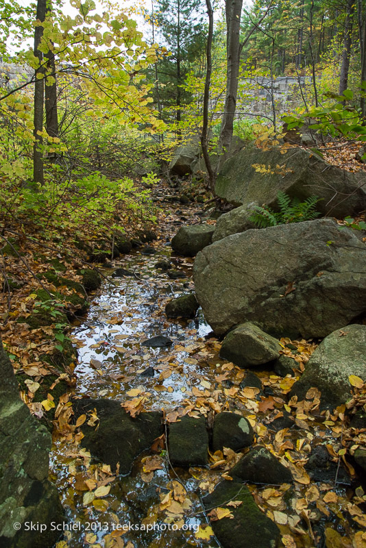 Charles River-Echo Lake-Milford-9800