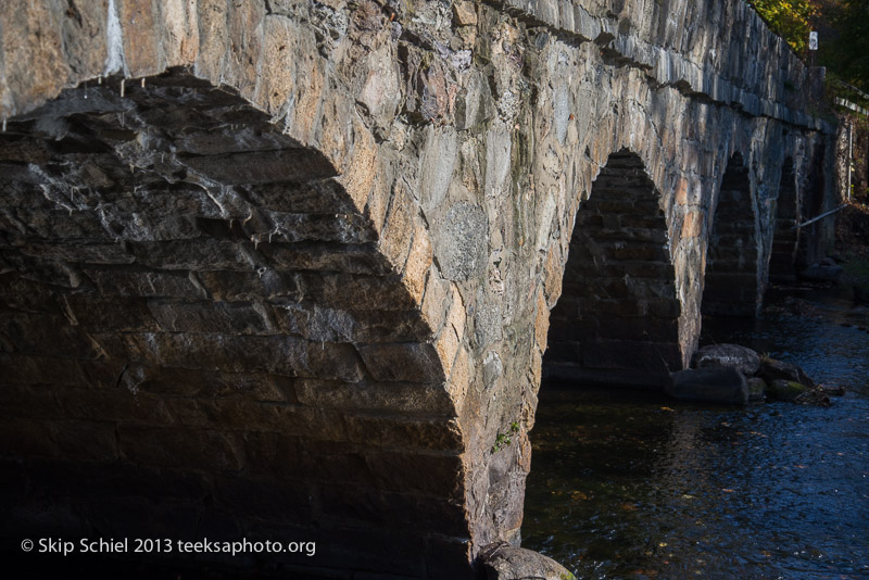 Charles River-dams-0243