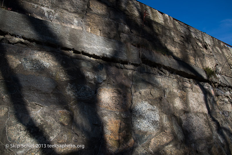 Charles River-dams-0245