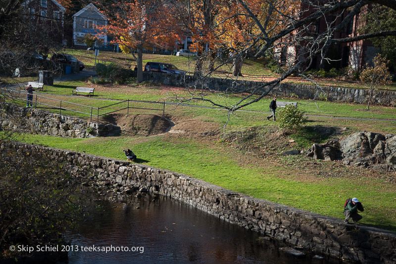 Charles River-dams-0253