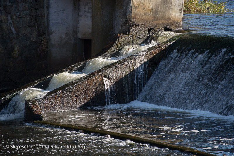 Charles River-dams-0265