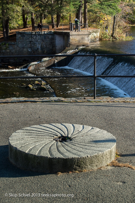 Charles River-dams-0267