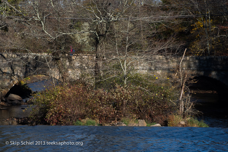 Charles River-dams-0282