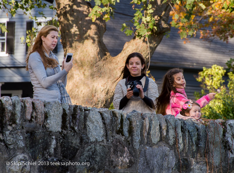 Charles River-dams-0283