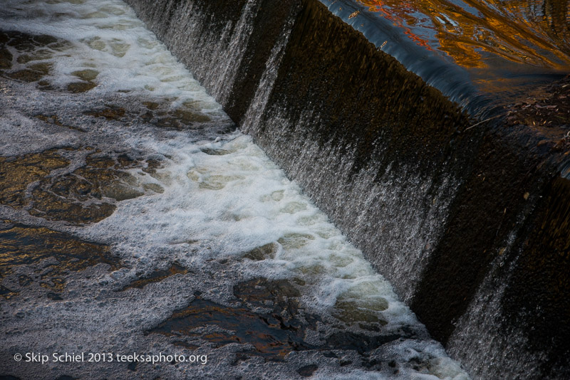 Charles River-dams-0293