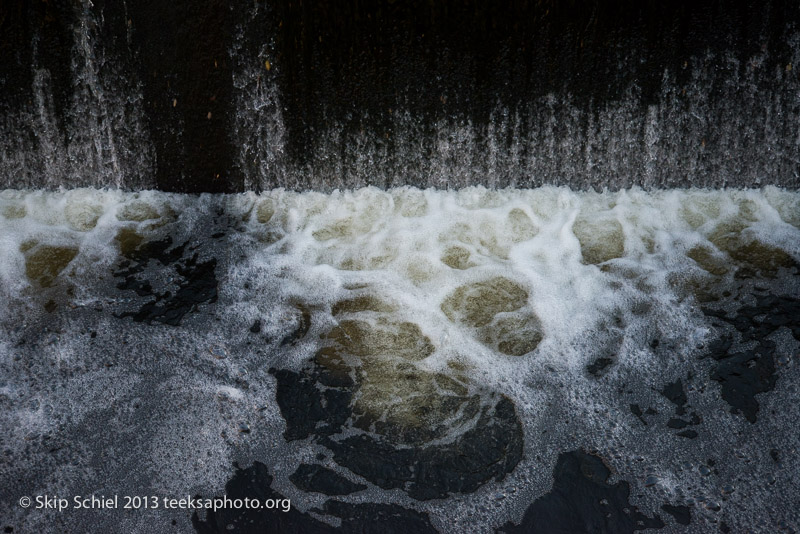 Charles River-dams-0298