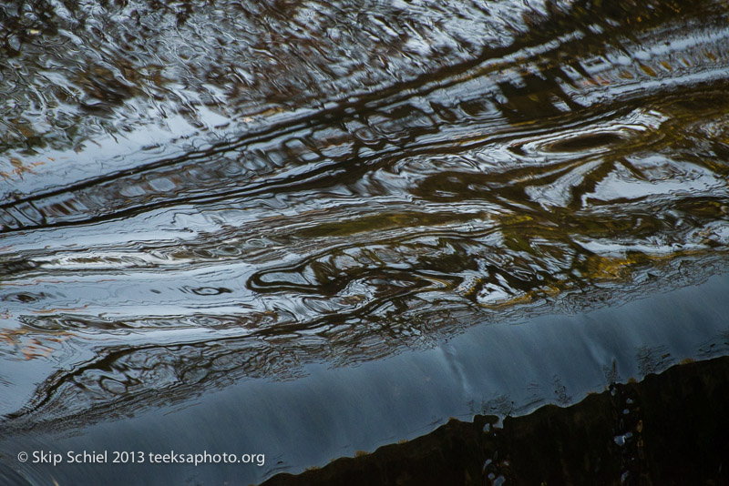 Charles River-dams-0305