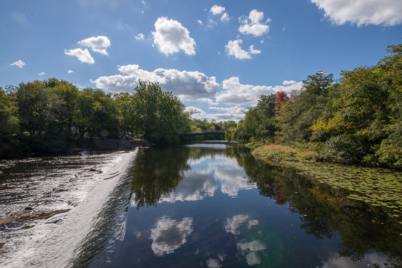 Charles River-Watertown-9604