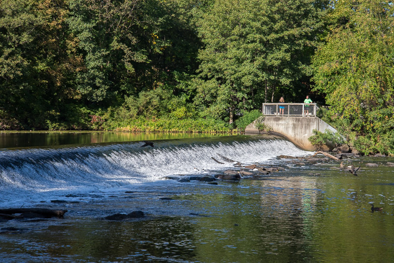 Charles River-Watertown-9703