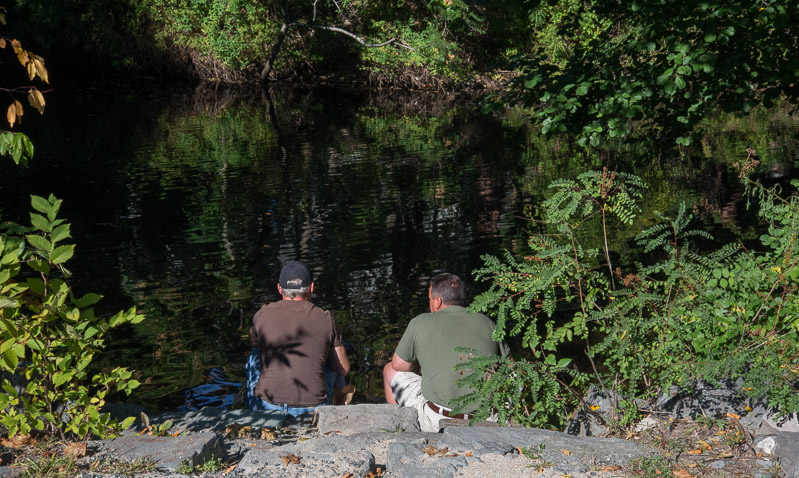 Charles River-Watertown-9715