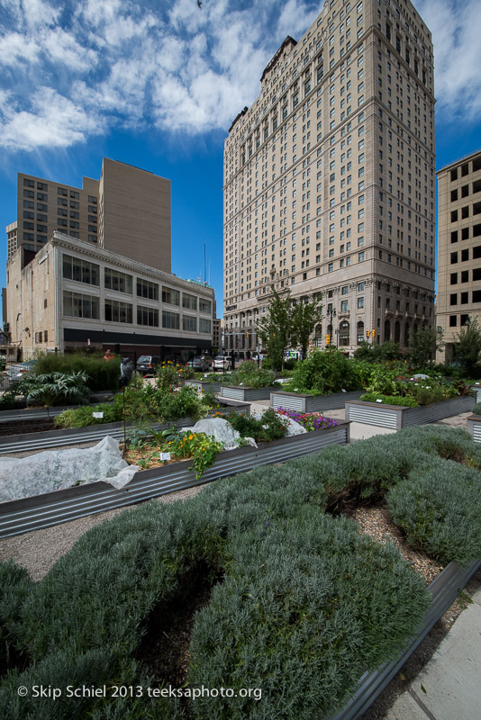 Detroit-Urban agriculture-9397