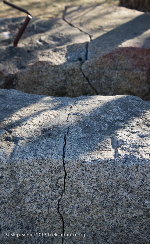 Cape Ann-Halibut Point-0882