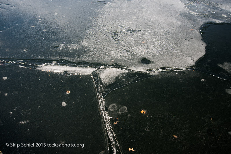 Cape Ann-Halibut Point-0898