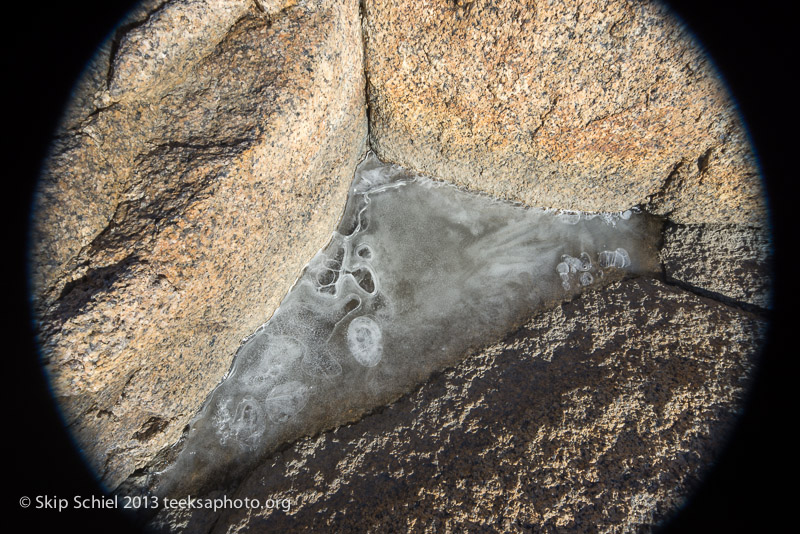 Cape Ann-Halibut Point-0942