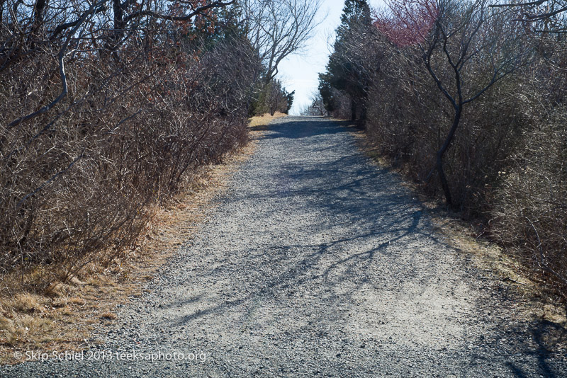 Cape Ann-Halibut Point-0964