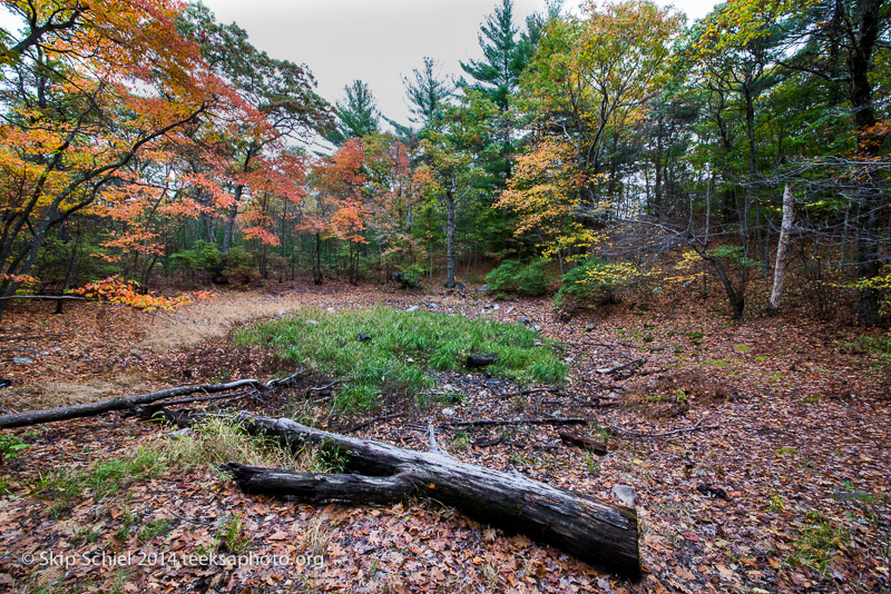 Blue Hills-Boston-