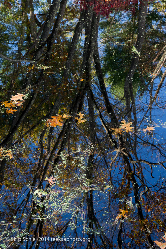 Broadmoor Wildlife Sanctuary-Audubon-3397