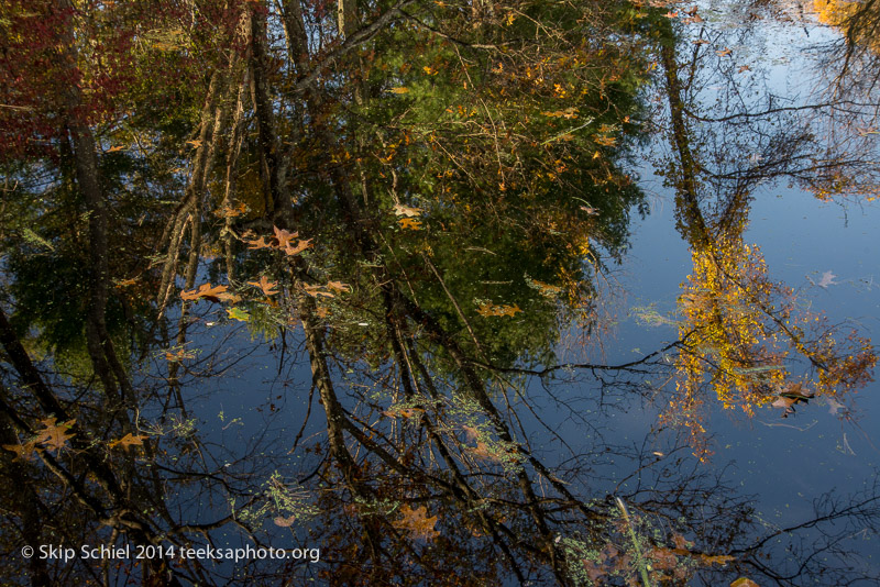 Broadmoor Wildlife Sanctuary-Audubon-3399