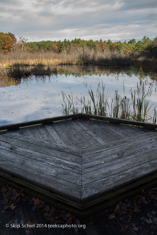 Broadmoor Wildlife Sanctuary-Audubon-3403