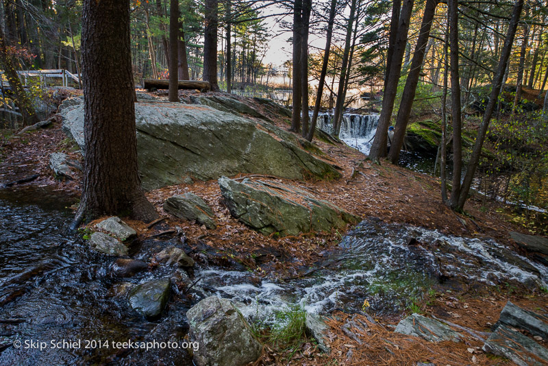 Broadmoor Wildlife Sanctuary-Audubon-3464