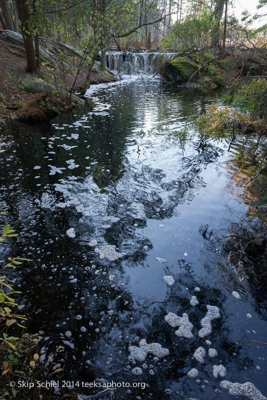 Broadmoor Wildlife Sanctuary-Audubon-3474