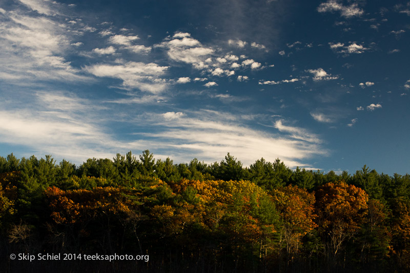 Broadmoor Wildlife Sanctuary-Audubon-3504