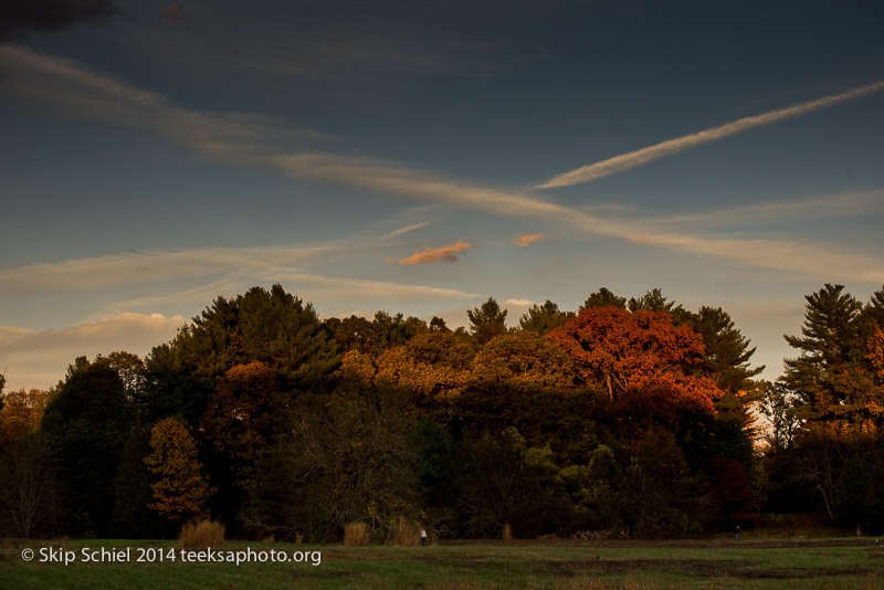 Broadmoor Wildlife Sanctuary-Audubon-3526