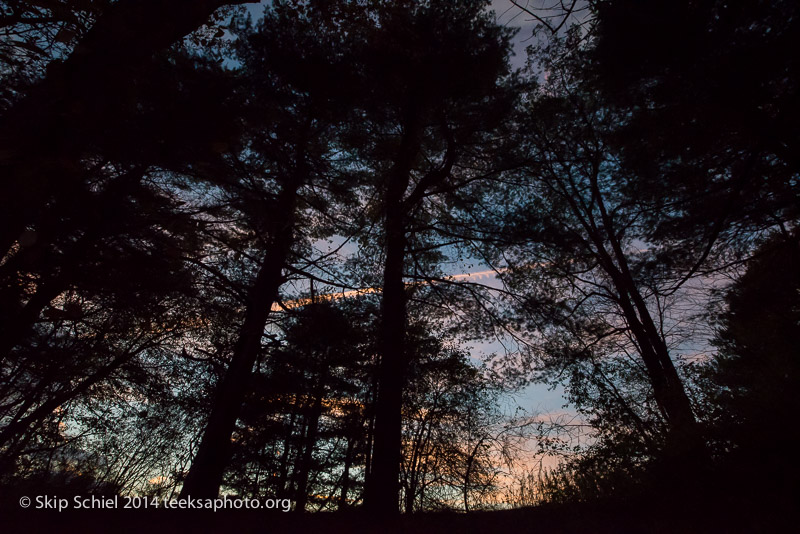 Broadmoor Wildlife Sanctuary-Audubon-3558