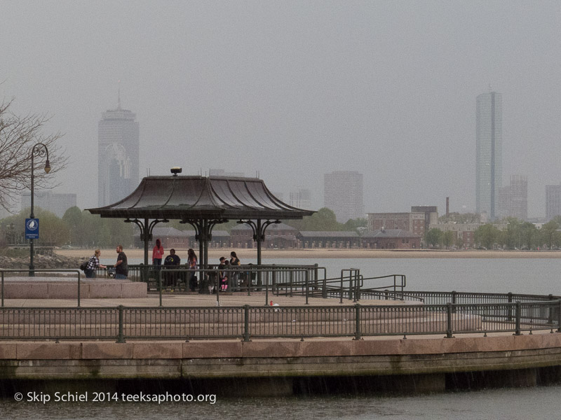 Castle Island-Harbor Point-Boston-5084