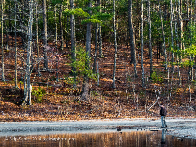 Christmas-Walden Pond-Codman Farm-0134