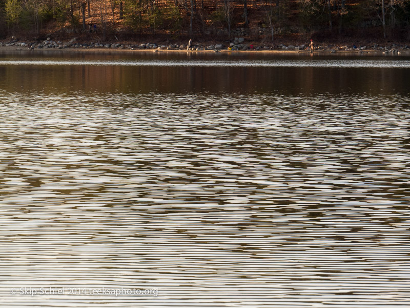 Christmas-Walden Pond-Codman Farm-0142