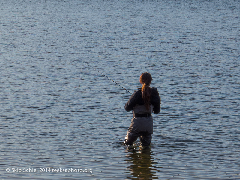 Christmas-Walden Pond-Codman Farm-0147