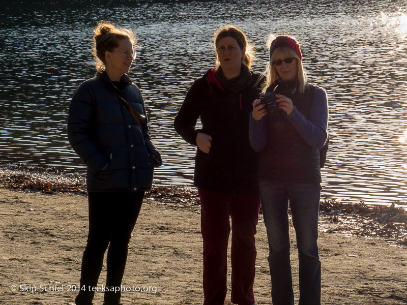 Christmas-Walden Pond-Codman Farm-0152