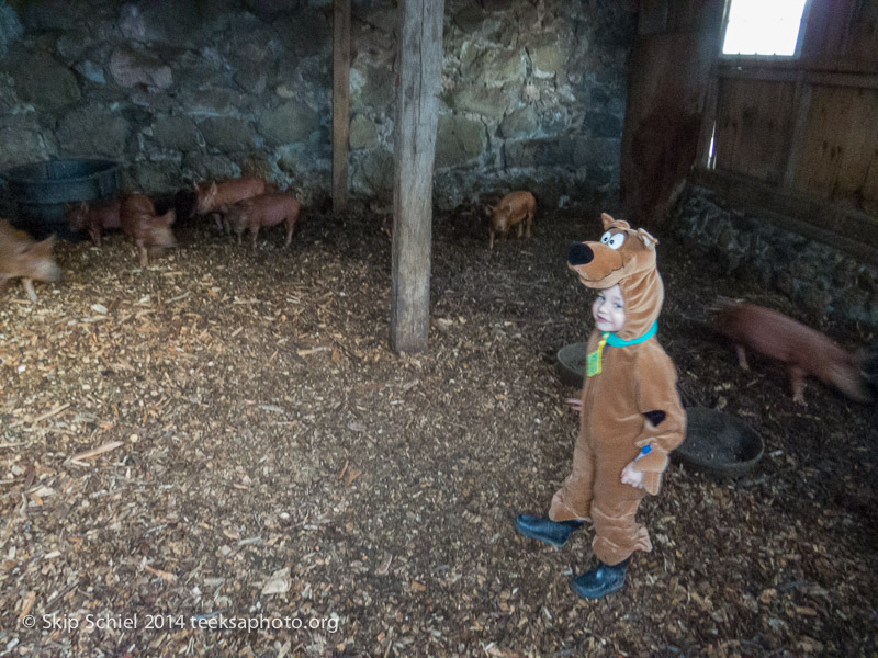 Christmas-Walden Pond-Codman Farm-0163