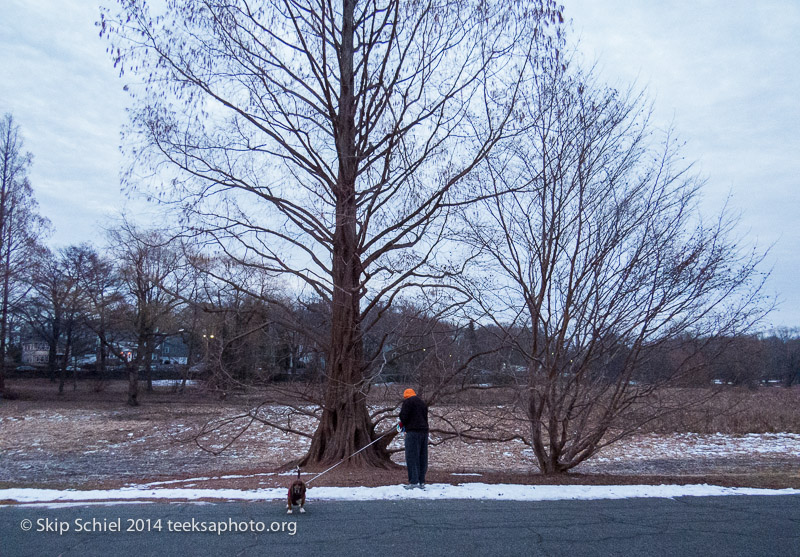 Emerald Necklace-Boston-Arboretum-3377