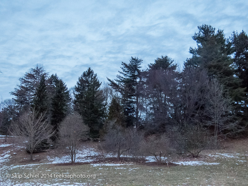 Emerald Necklace-Boston-Arboretum-3381