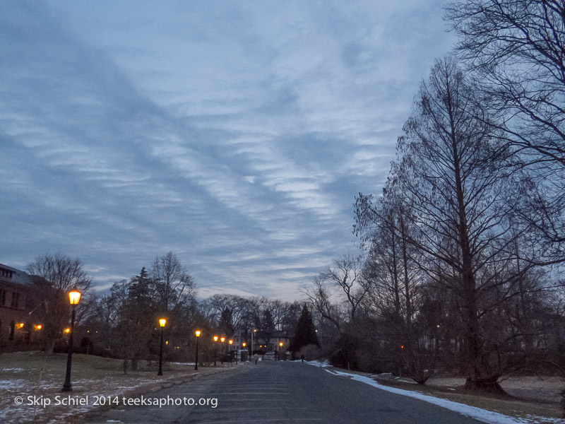 Emerald Necklace-Boston-Arboretum-3382