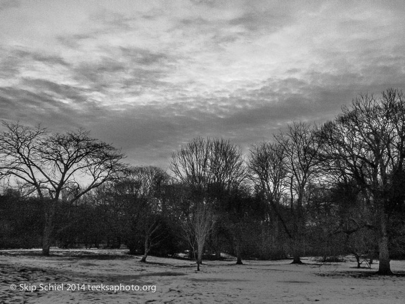 Emerald Necklace-Boston-Arboretum-3407