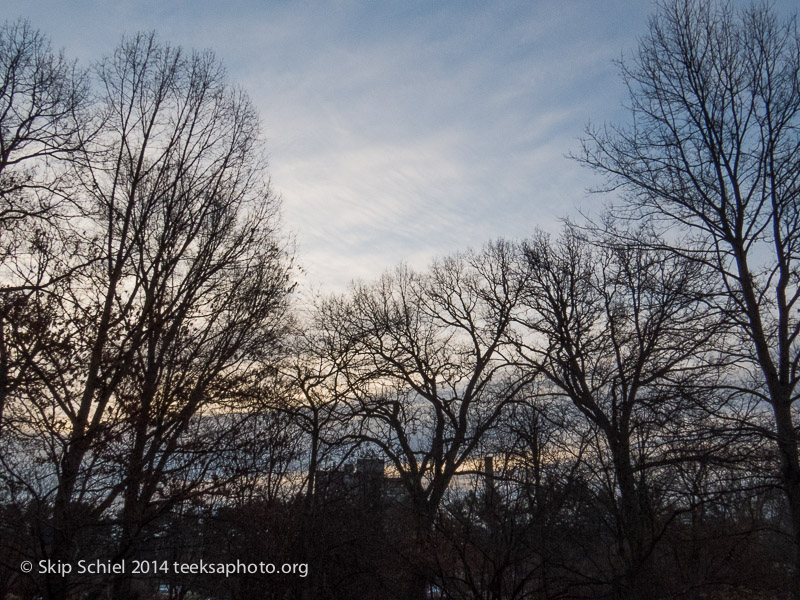 Emerald Necklace-Boston-Arboretum-3426