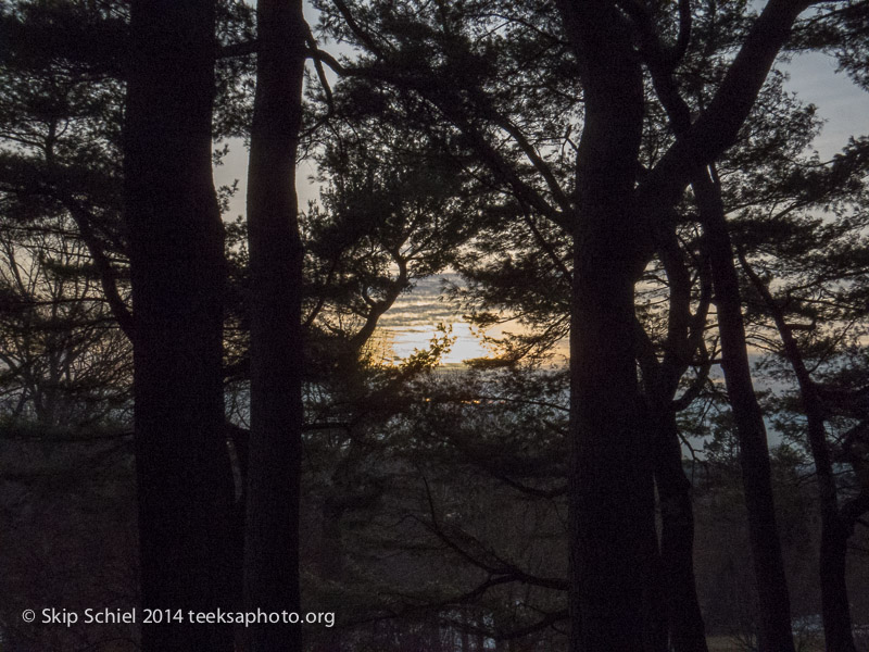 Emerald Necklace-Boston-Arboretum-3442