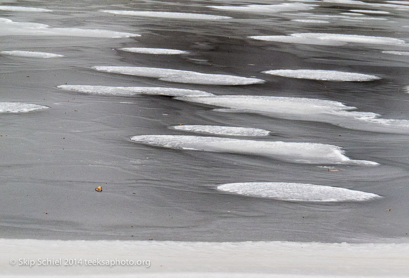 Emerald Necklace-Boston-2818