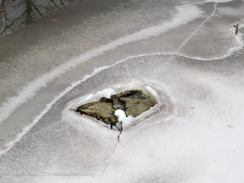 Emerald Necklace-Boston-2821