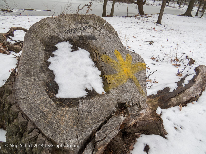 Emerald Necklace-Boston-2834