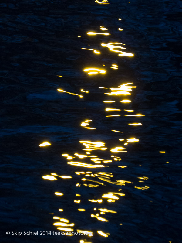 Emerald Necklace-Boston-2953